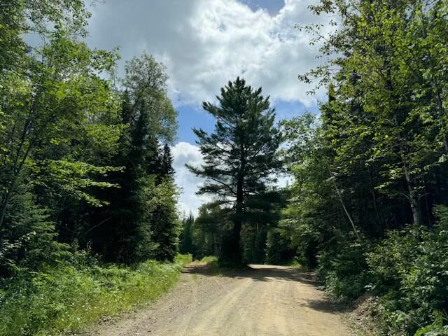 Lot #3 Pleine Road Saint Agatha ME 04772