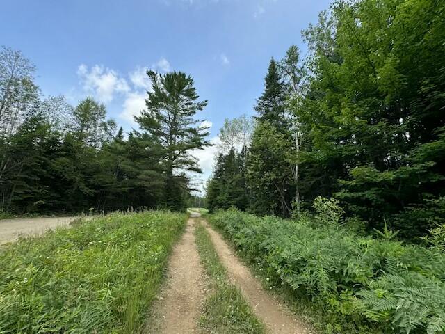 Lot #3 Pleine Road Saint Agatha ME 04772