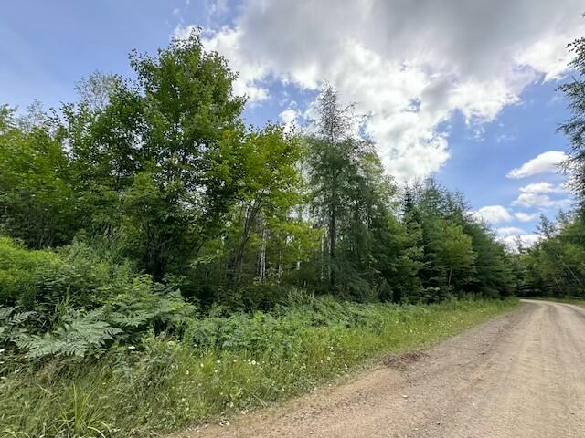 Lot #3 Pleine Road Saint Agatha ME 04772