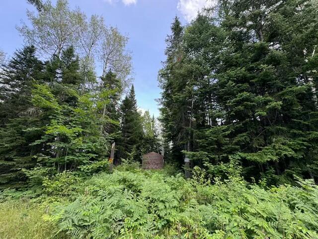 Lot #3 Pleine Road Saint Agatha ME 04772