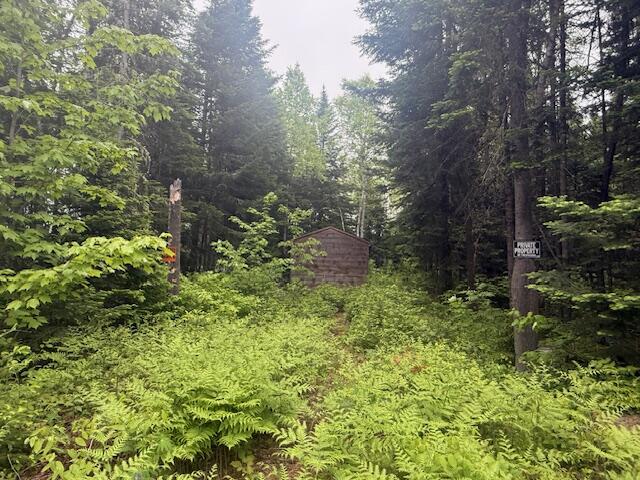 Lot #3 Pleine Road Saint Agatha ME 04772