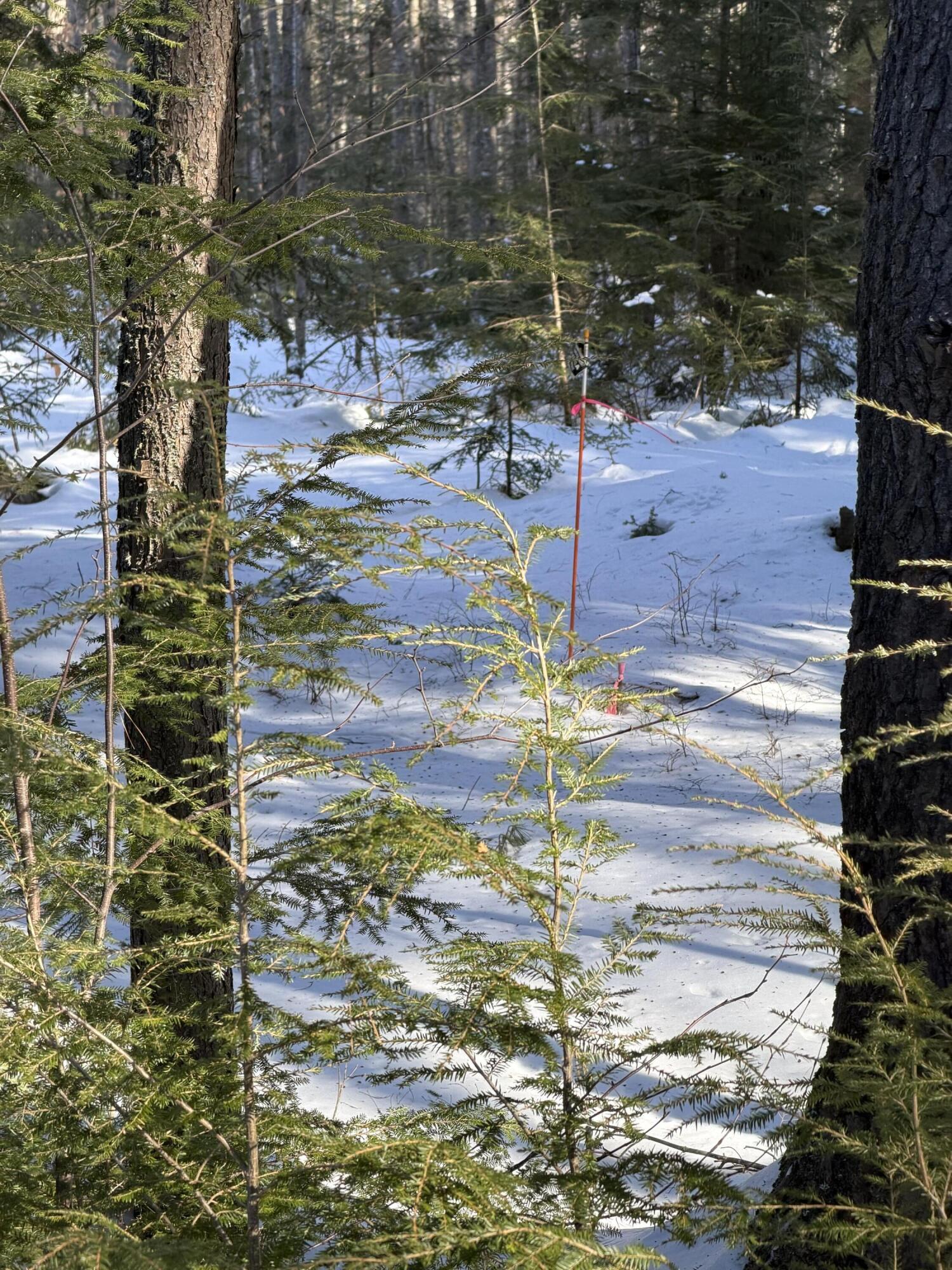 10 Merriman Drive Bethel ME 04217