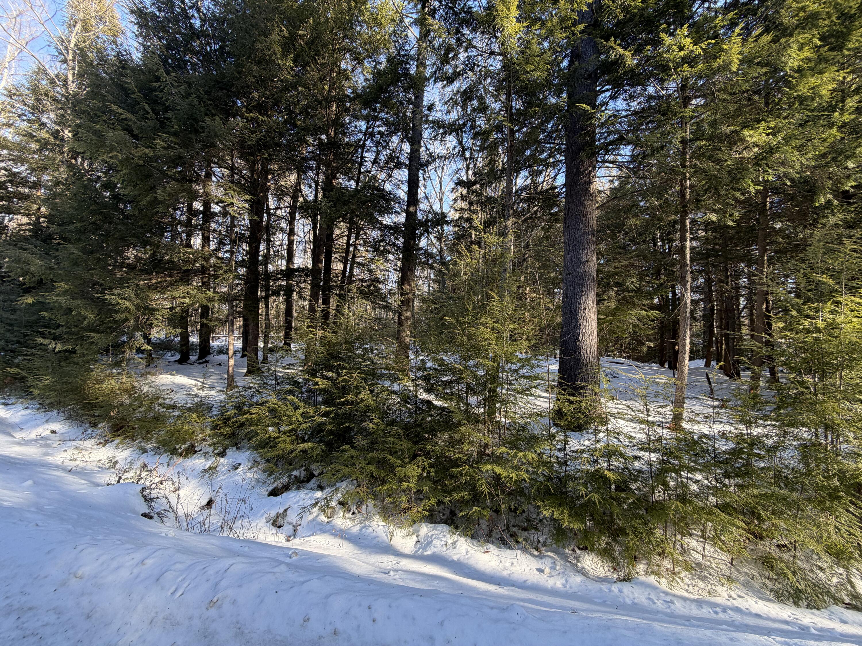 10 Merriman Drive Bethel ME 04217