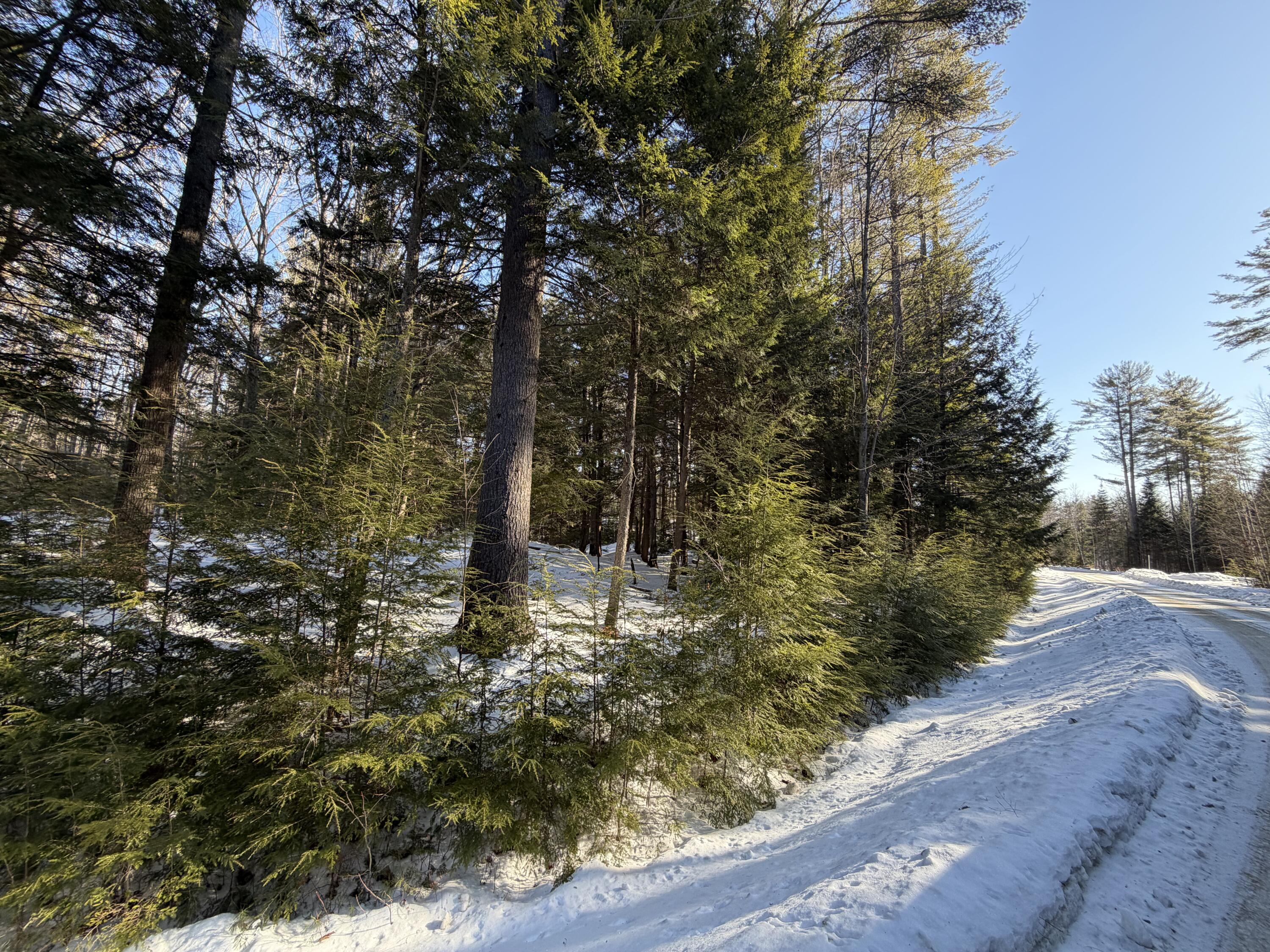 10 Merriman Drive Bethel ME 04217