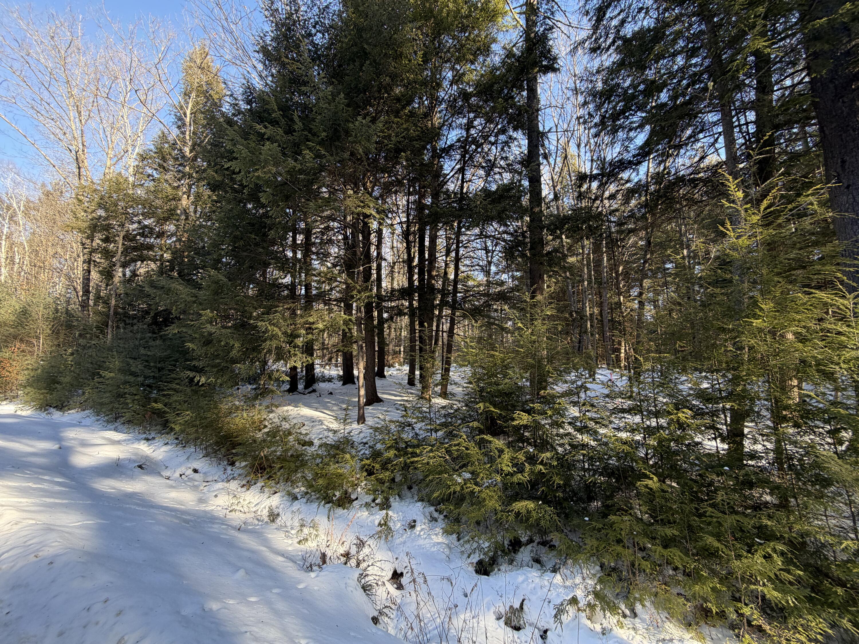 10 Merriman Drive Bethel ME 04217