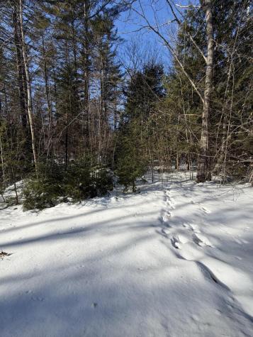 10 Merriman Drive Bethel ME 04217