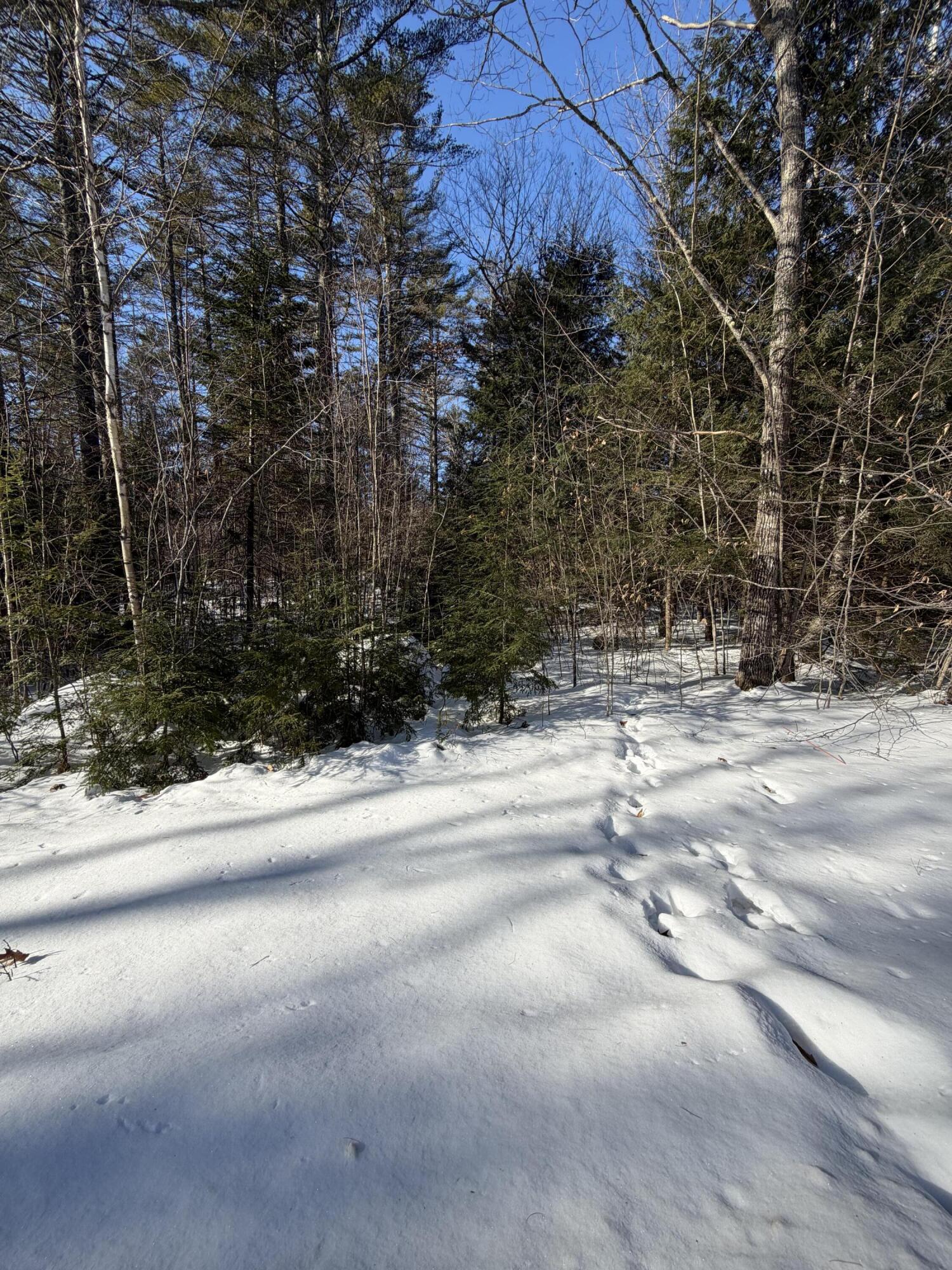 10 Merriman Drive Bethel ME 04217