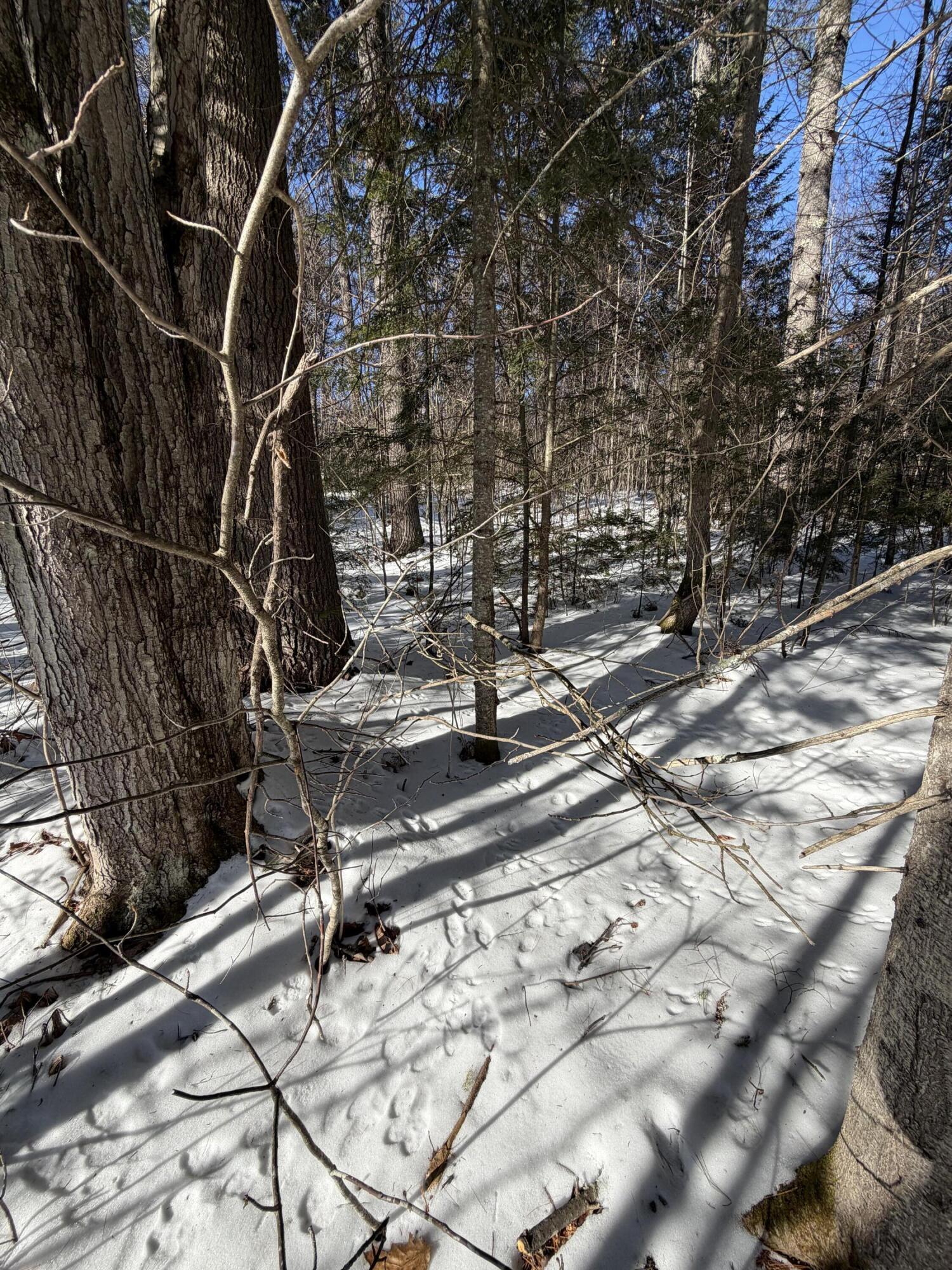 10 Merriman Drive Bethel ME 04217