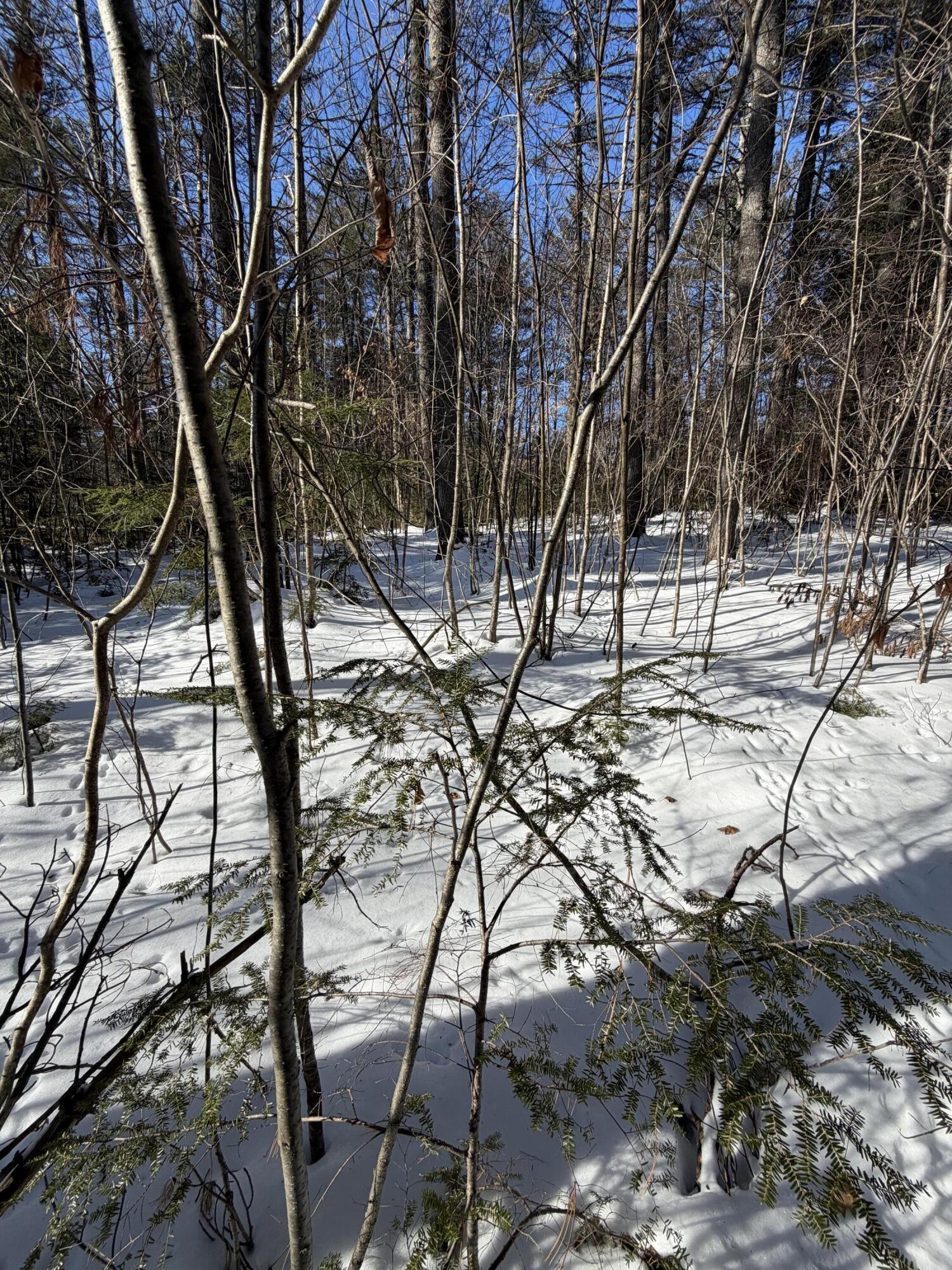 10 Merriman Drive Bethel ME 04217