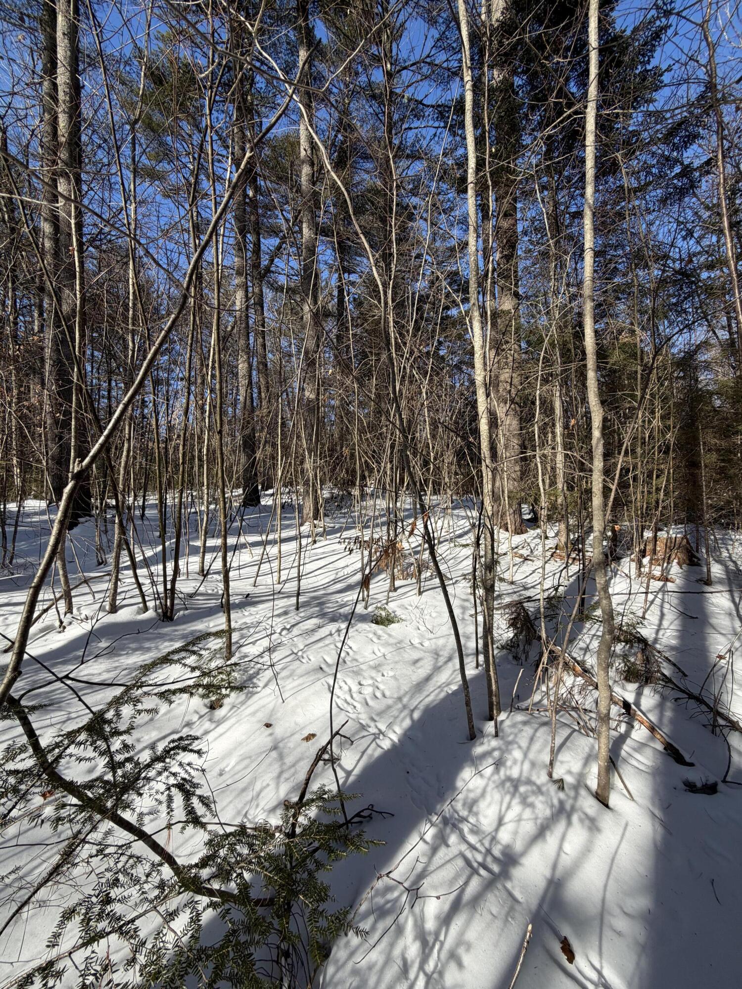 10 Merriman Drive Bethel ME 04217