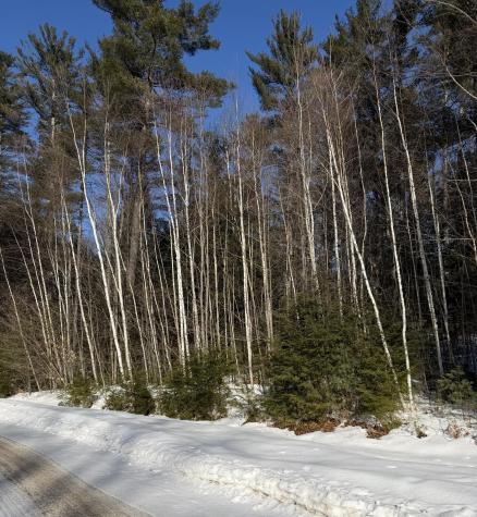 10 Merriman Drive Bethel ME 04217