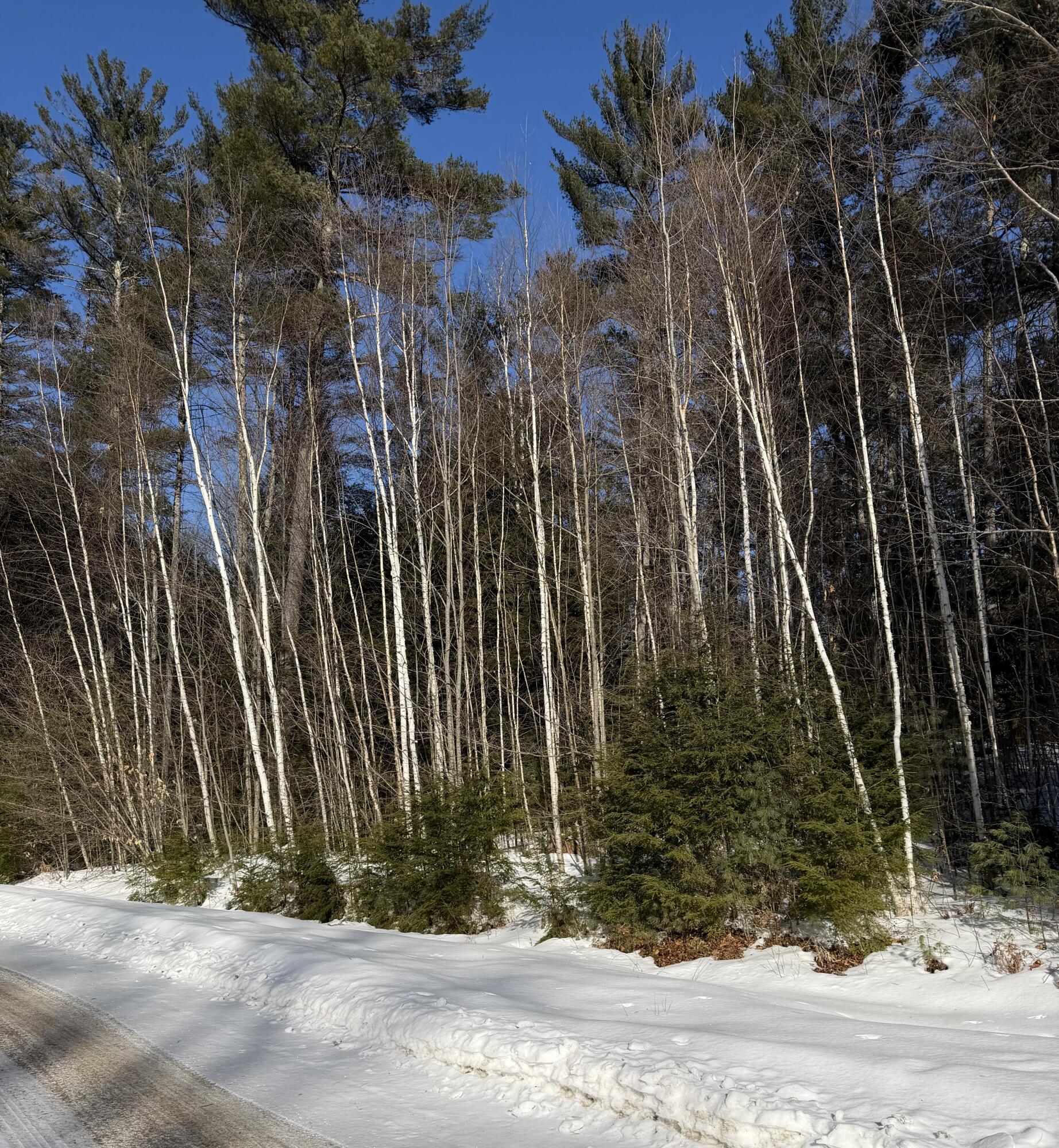 10 Merriman Drive Bethel ME 04217