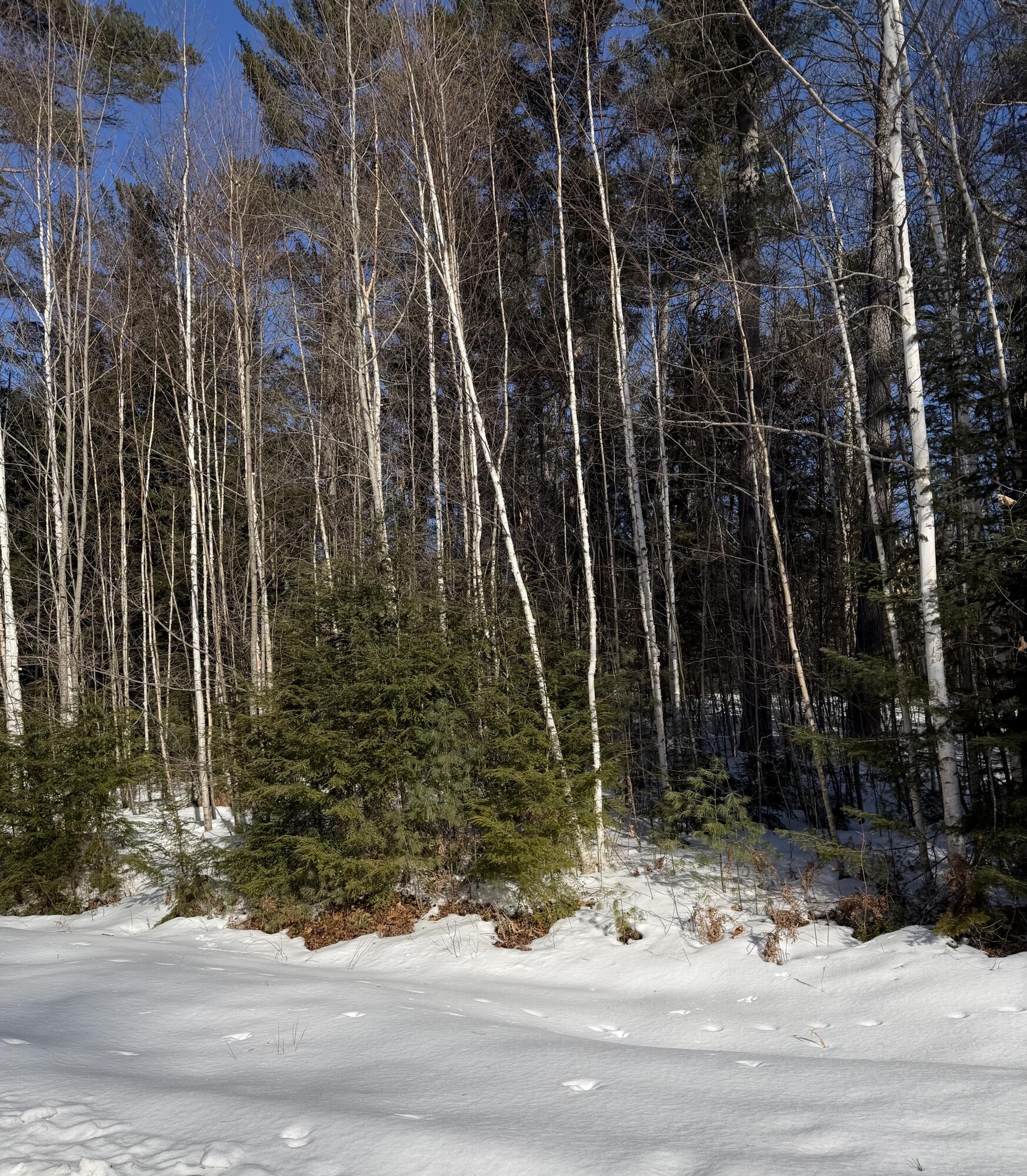 10 Merriman Drive Bethel ME 04217