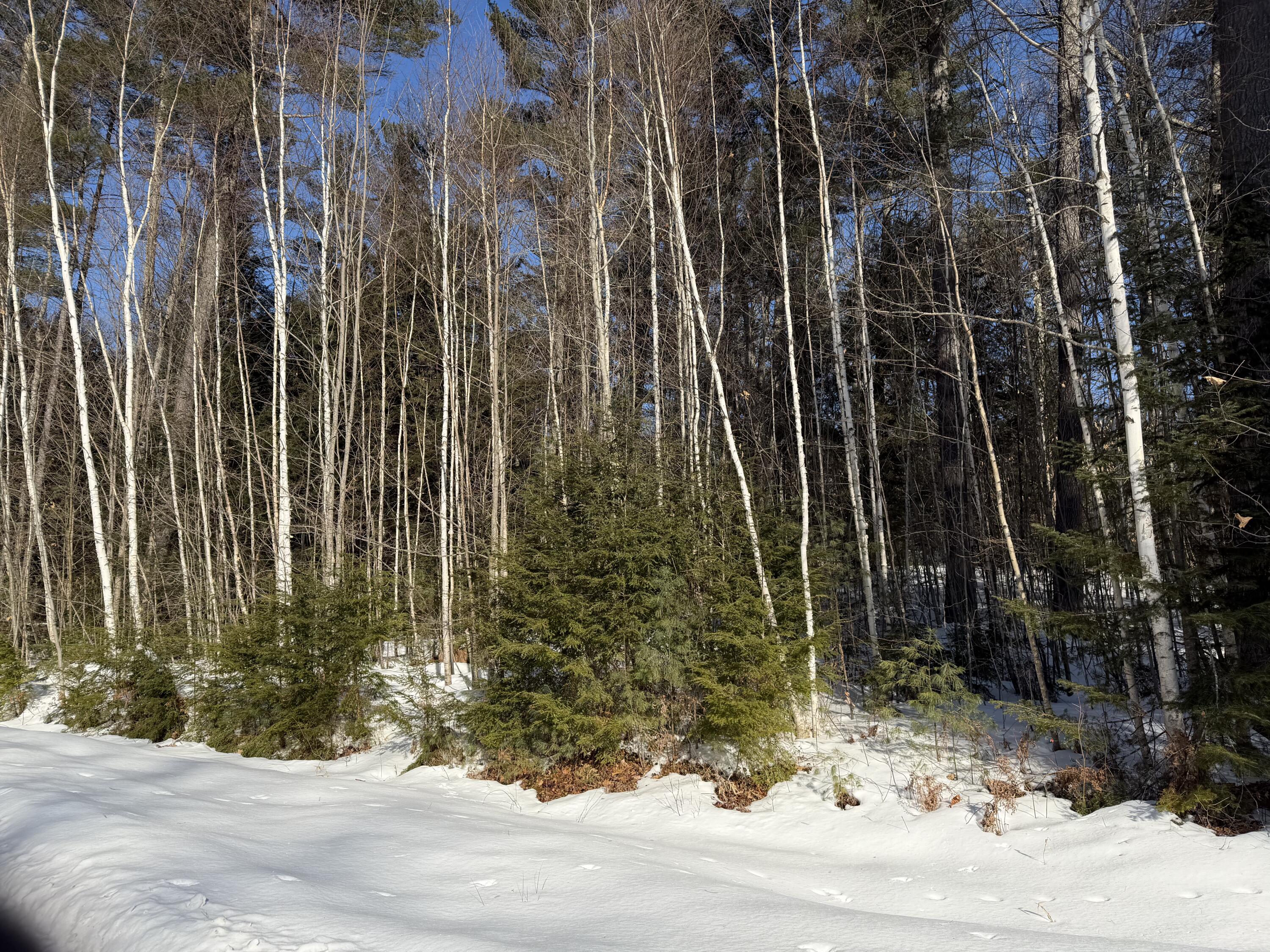 10 Merriman Drive Bethel ME 04217