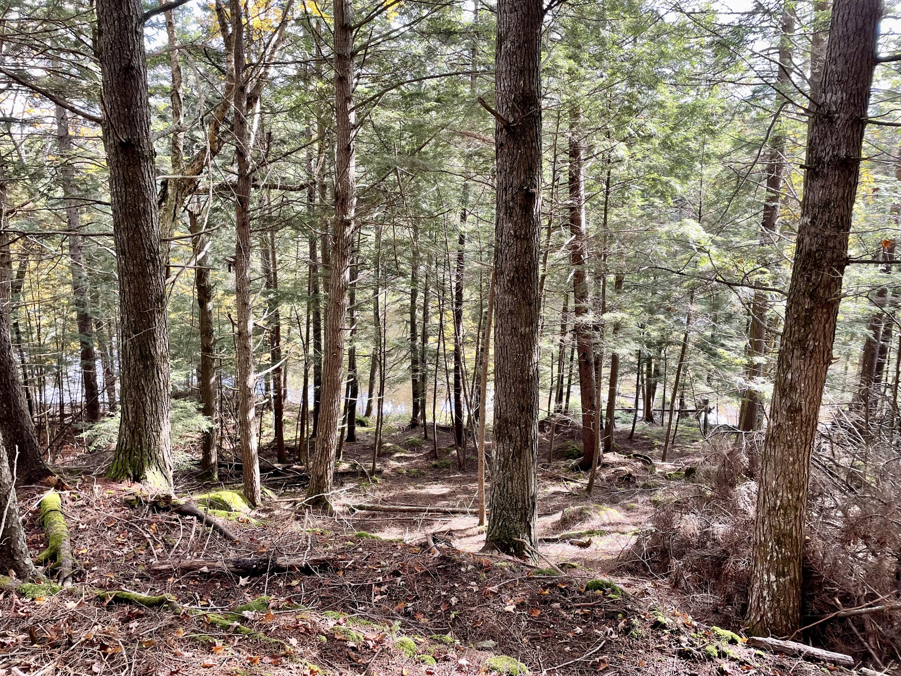 Lot 79/80 Black Point Road Beaver Cove ME 04441