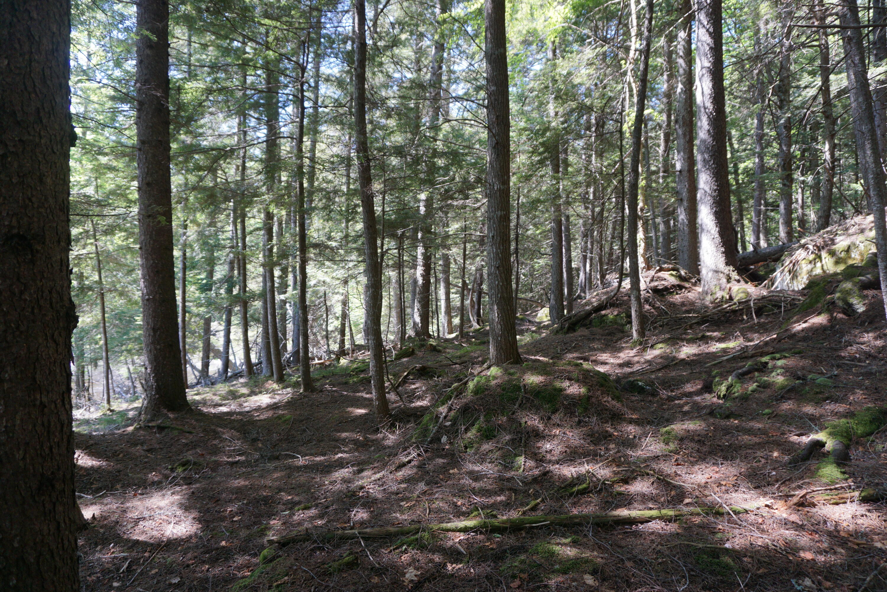 Lot 79/80 Black Point Road Beaver Cove ME 04441