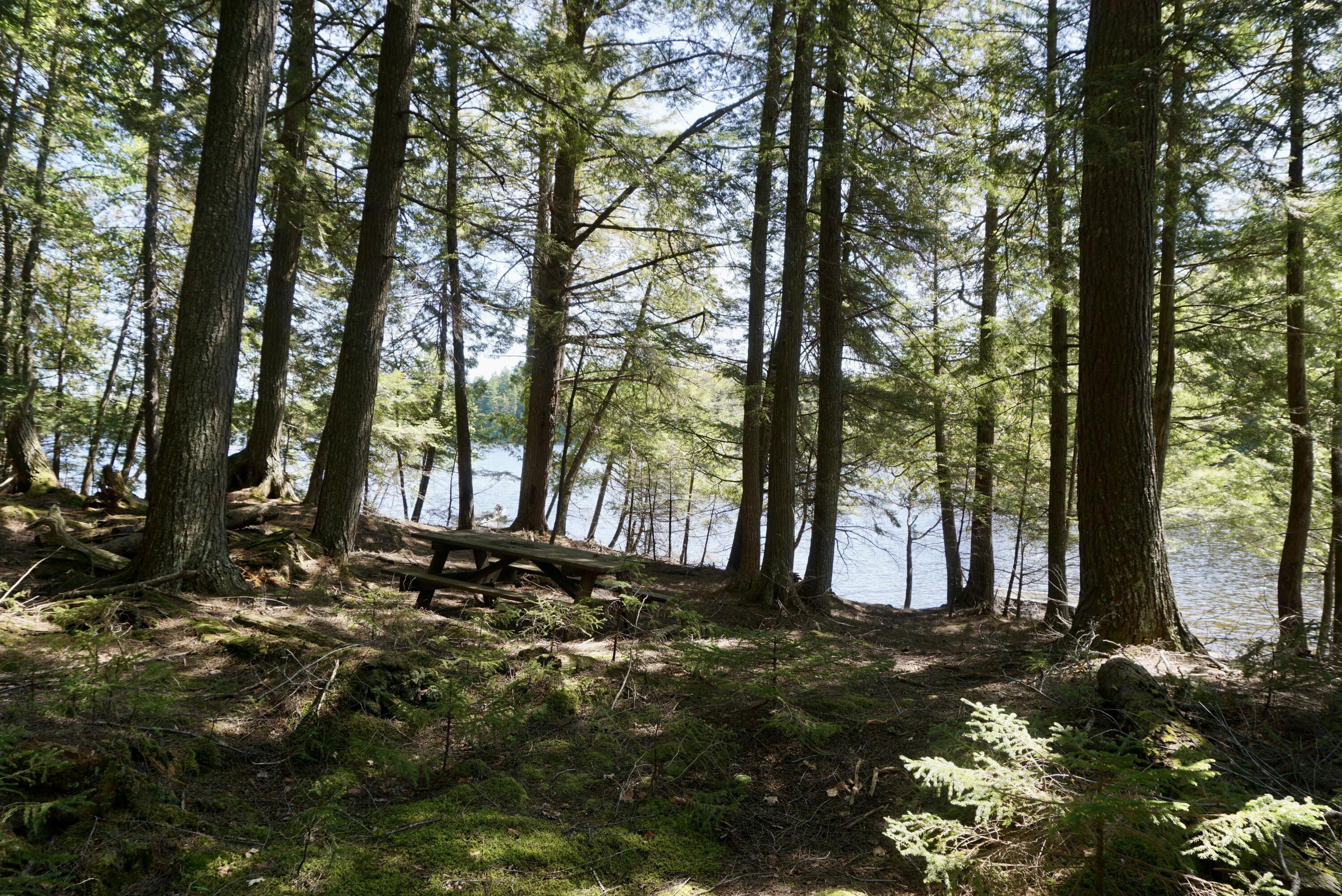 Lot 79/80 Black Point Road Beaver Cove ME 04441