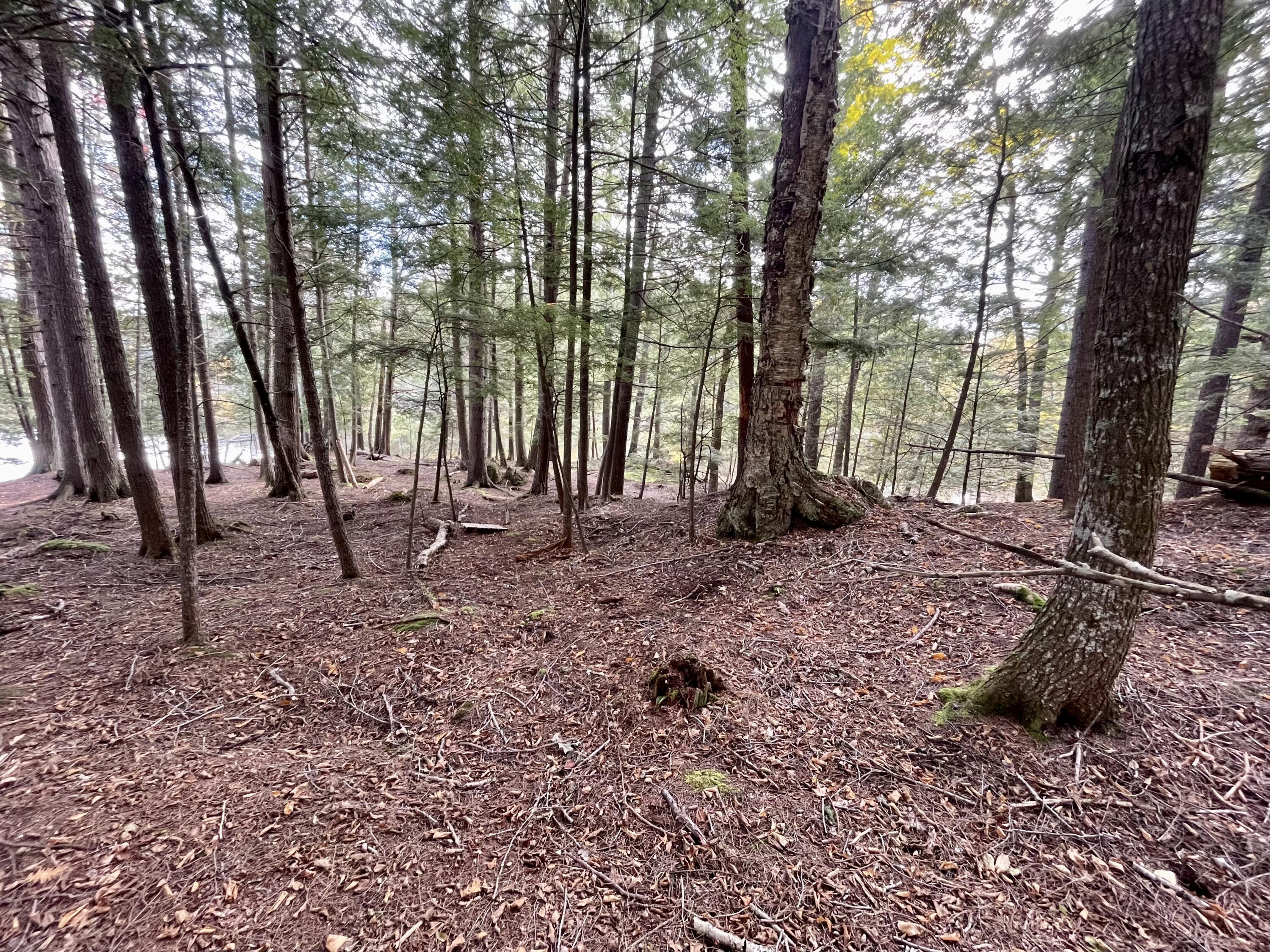 Lot 79/80 Black Point Road Beaver Cove ME 04441