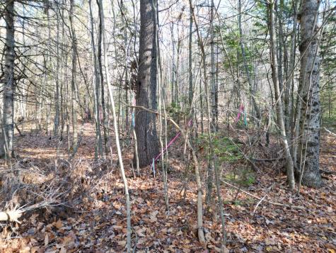 Lot 7a James Way Lincoln ME 04457