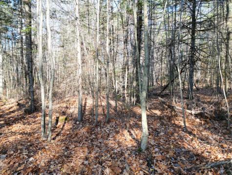 Lot 7a James Way Lincoln ME 04457