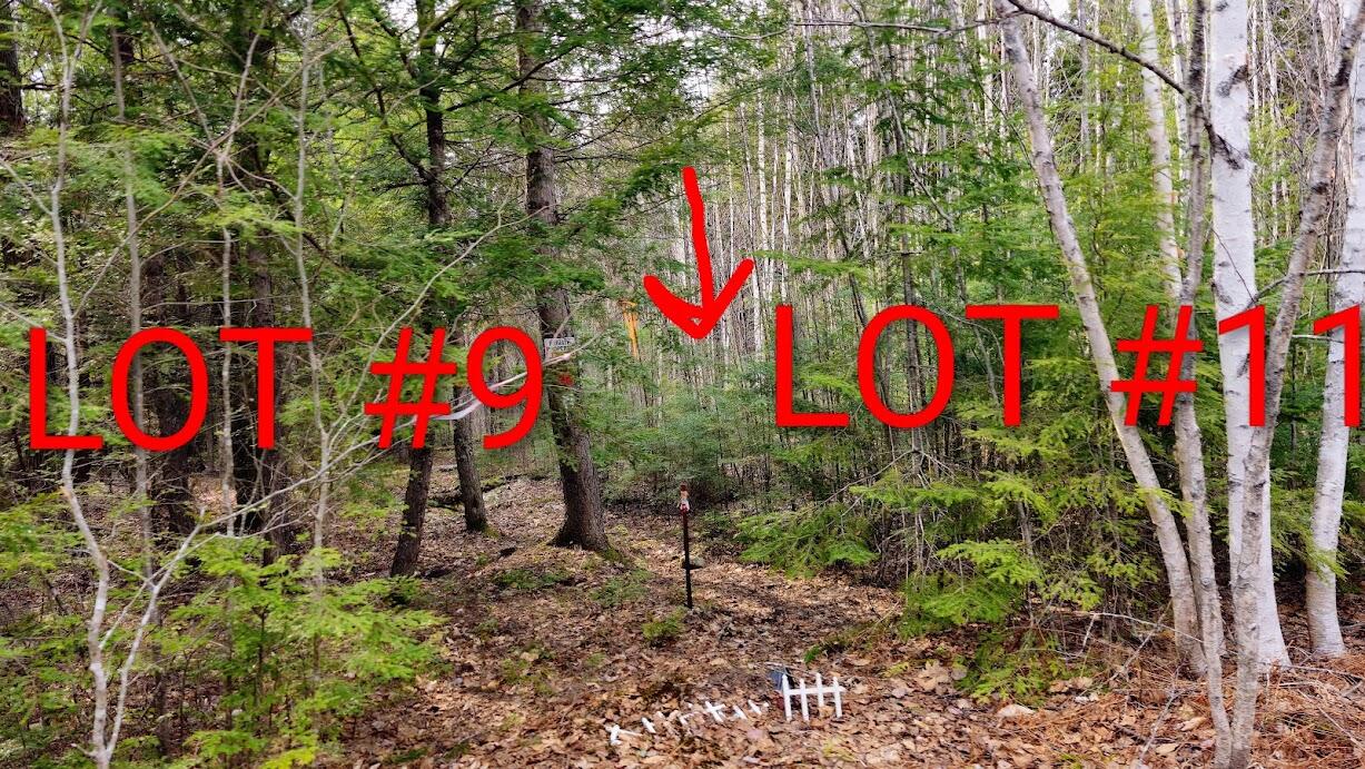 0 Woodland Drive Carmel ME 04419