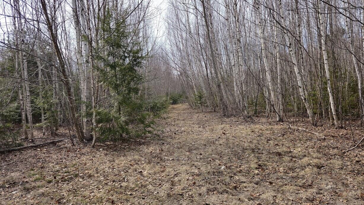 0 Woodland Drive Carmel ME 04419