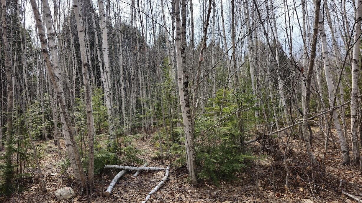 0 Woodland Drive Carmel ME 04419