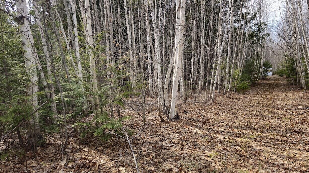 0 Woodland Drive Carmel ME 04419