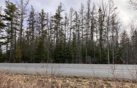 0 Bar Harbor Road Trenton ME 04605