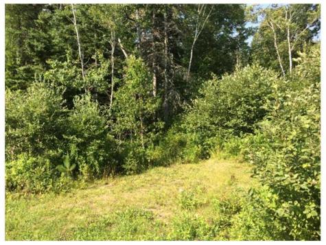 Xx Garnet Head Road Pembroke ME 04666