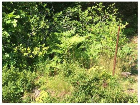 Xx Garnet Head Road Pembroke ME 04666