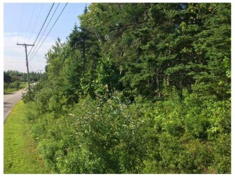 Xx Garnet Head Road Pembroke ME 04666