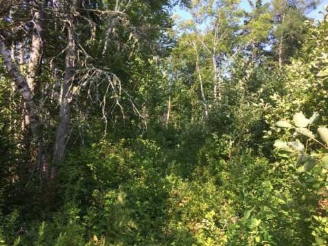 Xx Garnet Head Road Pembroke ME 04666