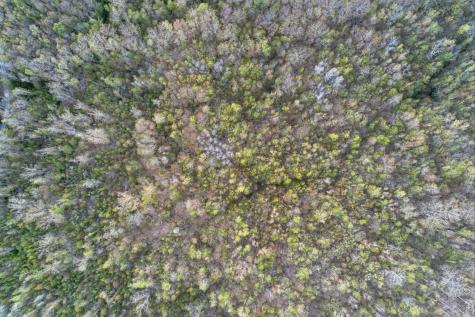 1, 23, 24 Cottage Shore Drive Holden ME 04429