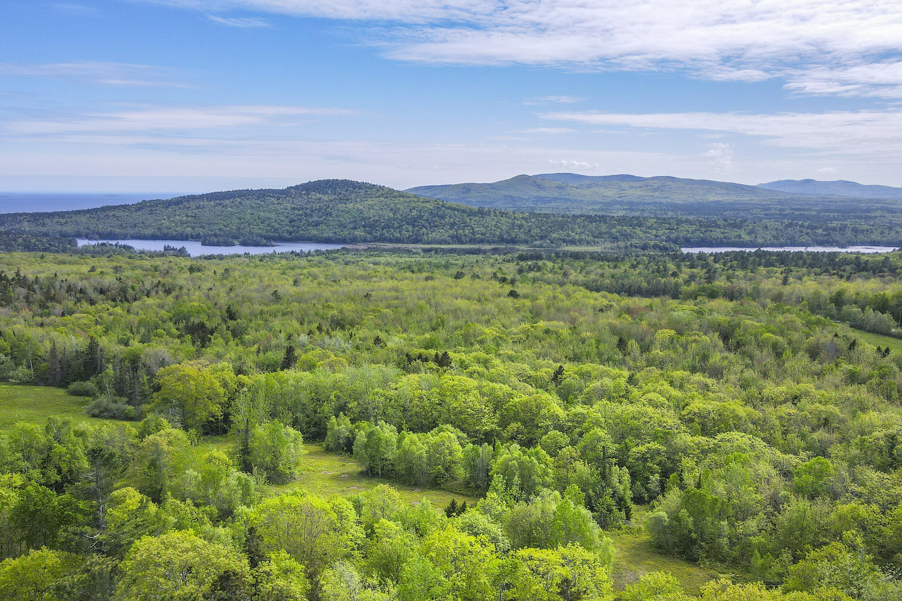 L46 (Part) Beech Hill Road Northport ME 04849