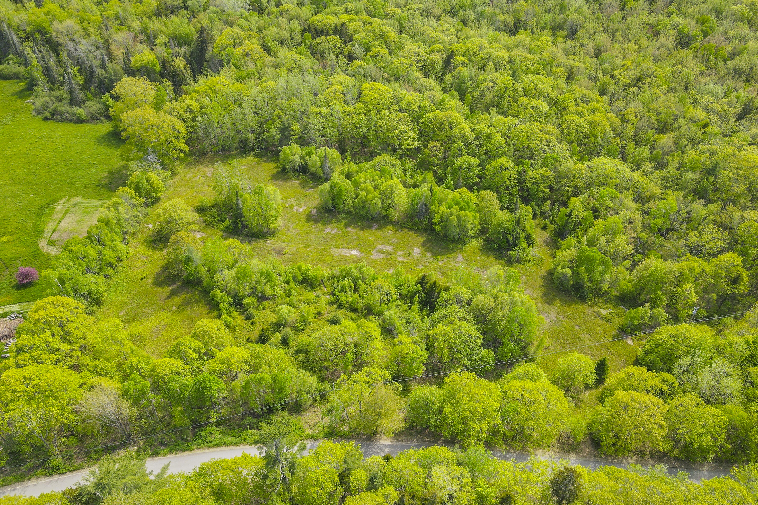 L46 (Part) Beech Hill Road Northport ME 04849