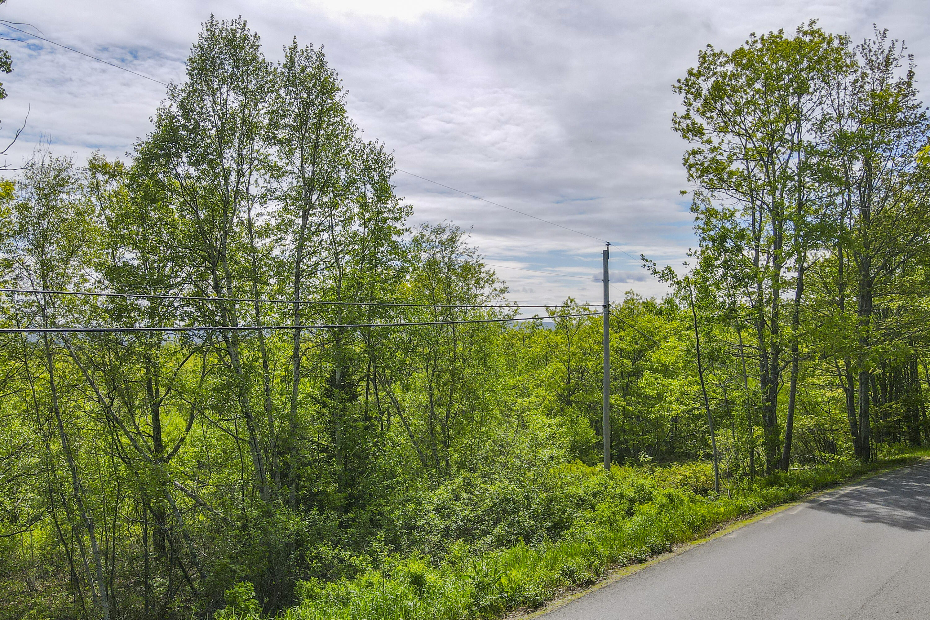 L46 (Part) Beech Hill Road Northport ME 04849