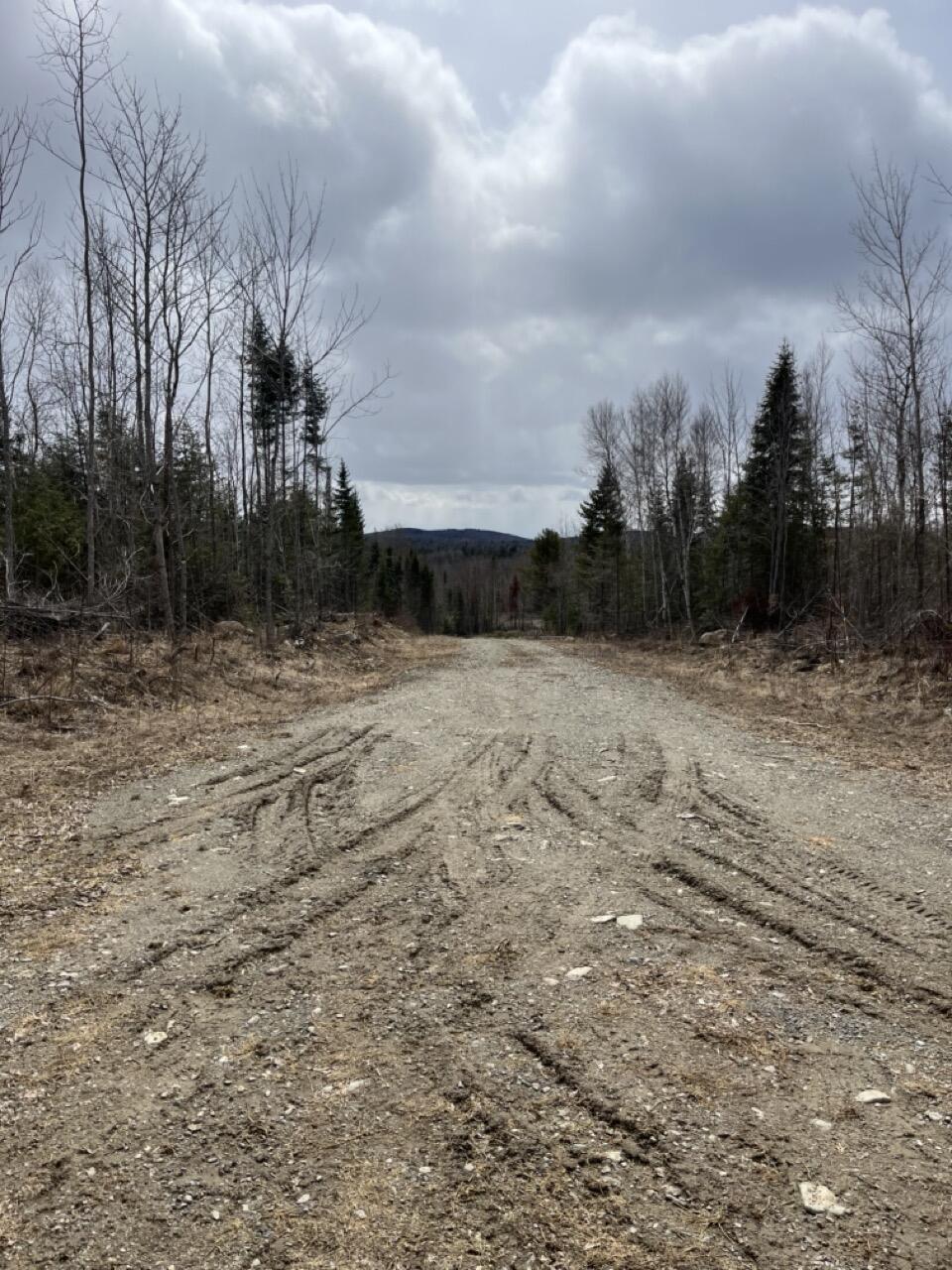 M3L32,33 Rt 6 Highway Carroll Plt ME 04487