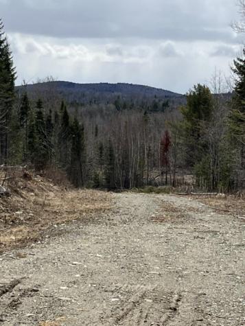 M3L32,33 Rt 6 Highway Carroll Plt ME 04487