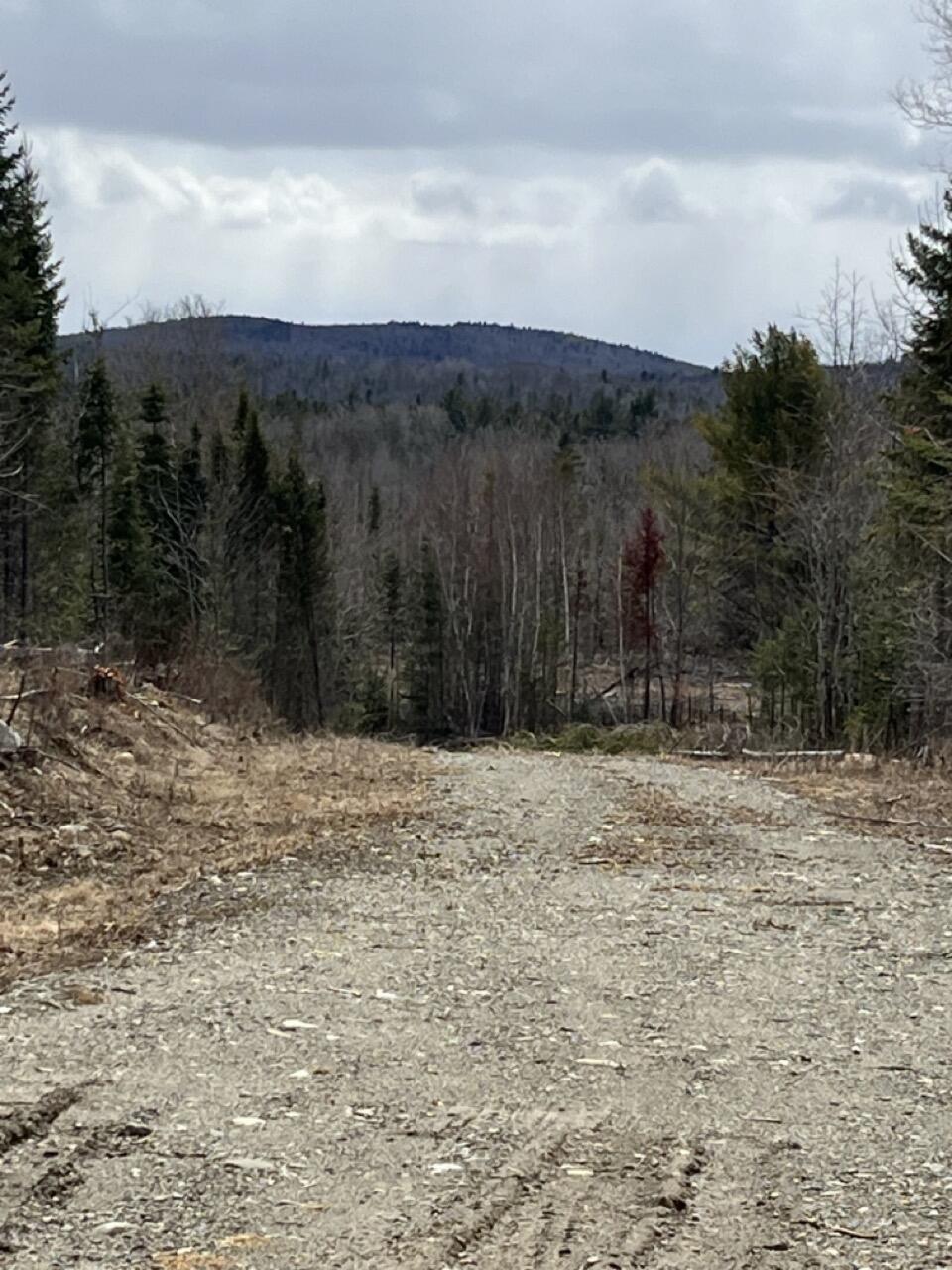 M3L32,33 Rt 6 Highway Carroll Plt ME 04487