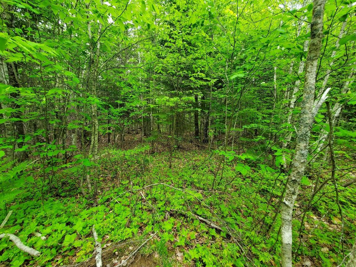 77 South Princeton Road Alexander ME 04694