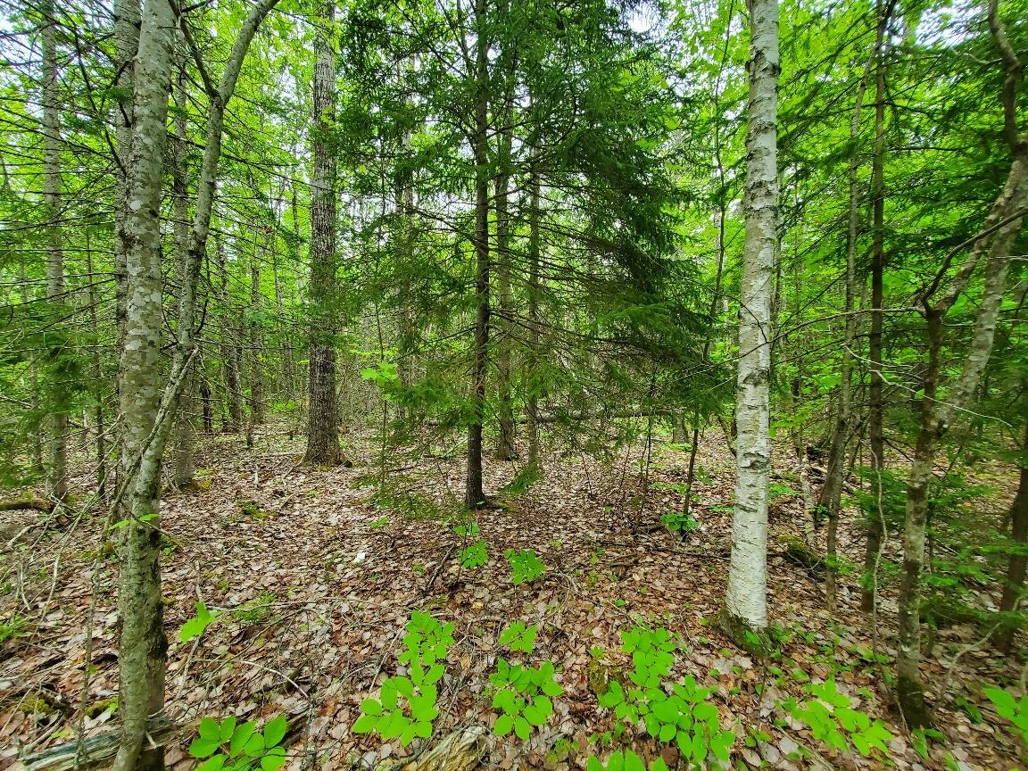 77 South Princeton Road Alexander ME 04694