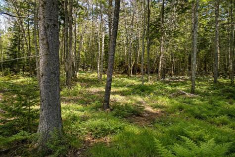 Lot E Fiske Lane Bristol ME 04539