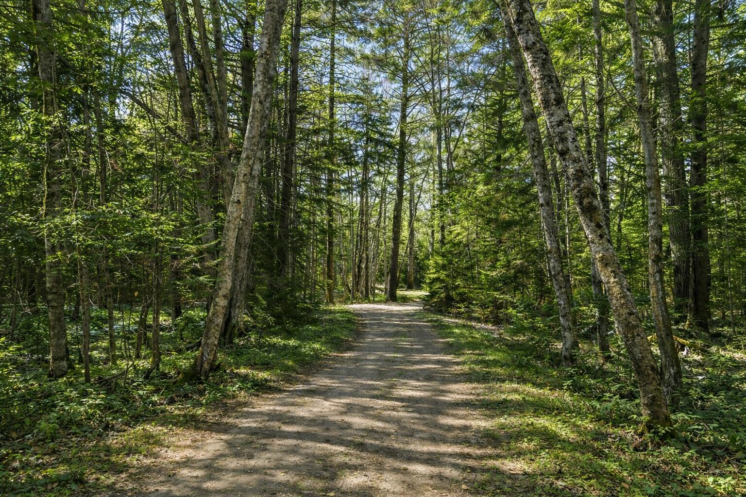 Lot E Fiske Lane Bristol ME 04539