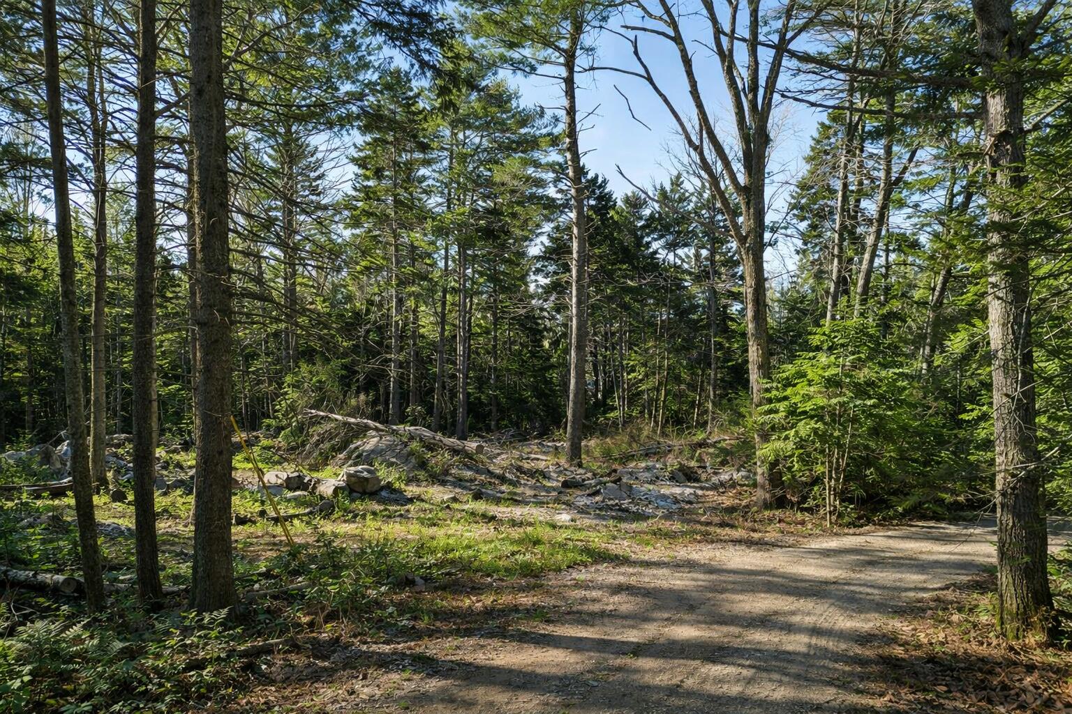 Lot E Fiske Lane Bristol ME 04539