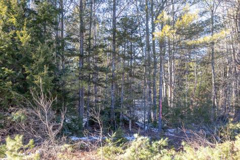 Lot 14-4 Mcgrath Pond Loop Road Belgrade ME 04917