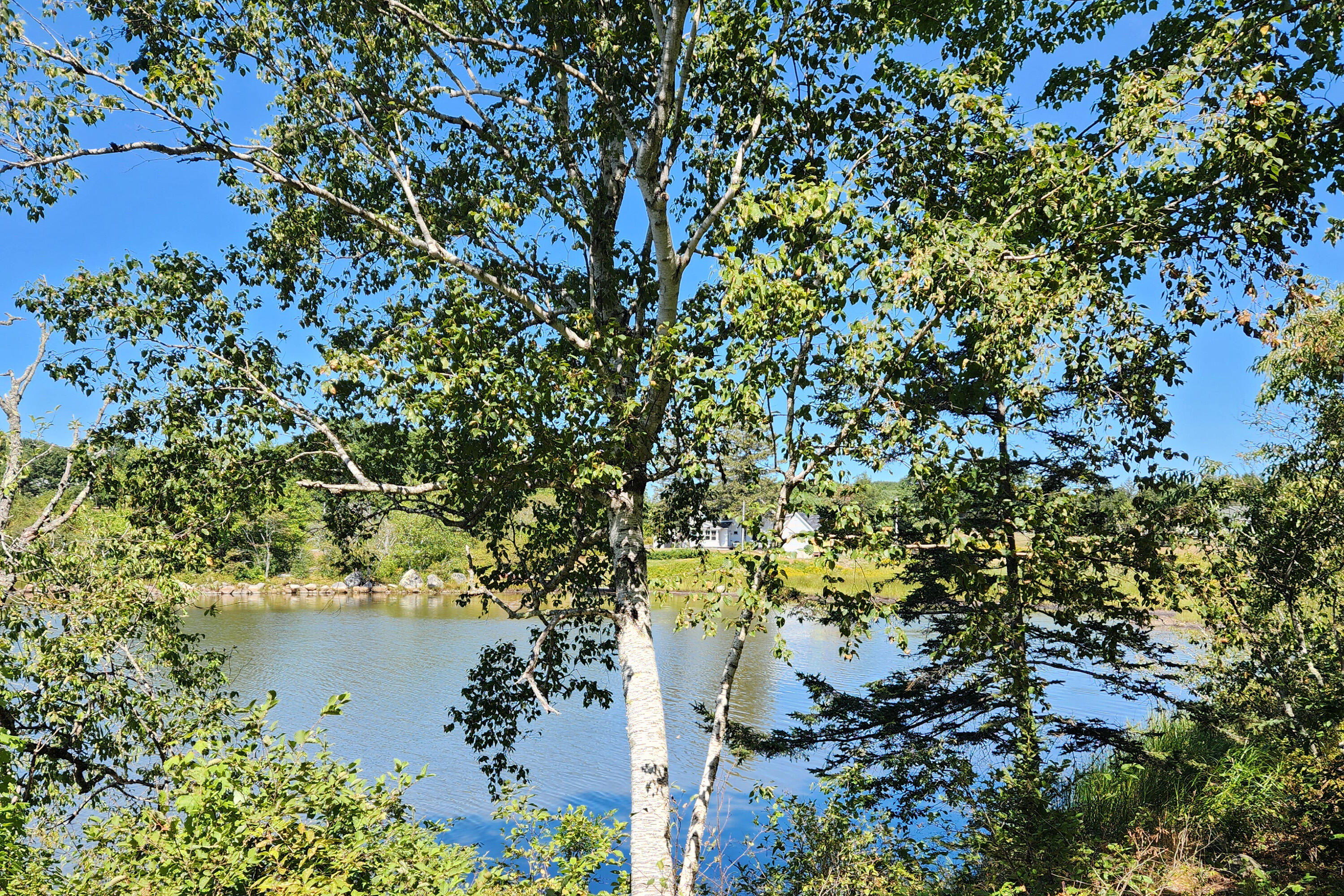 2 Camp Stream Point Lane Sedgwick ME 04676