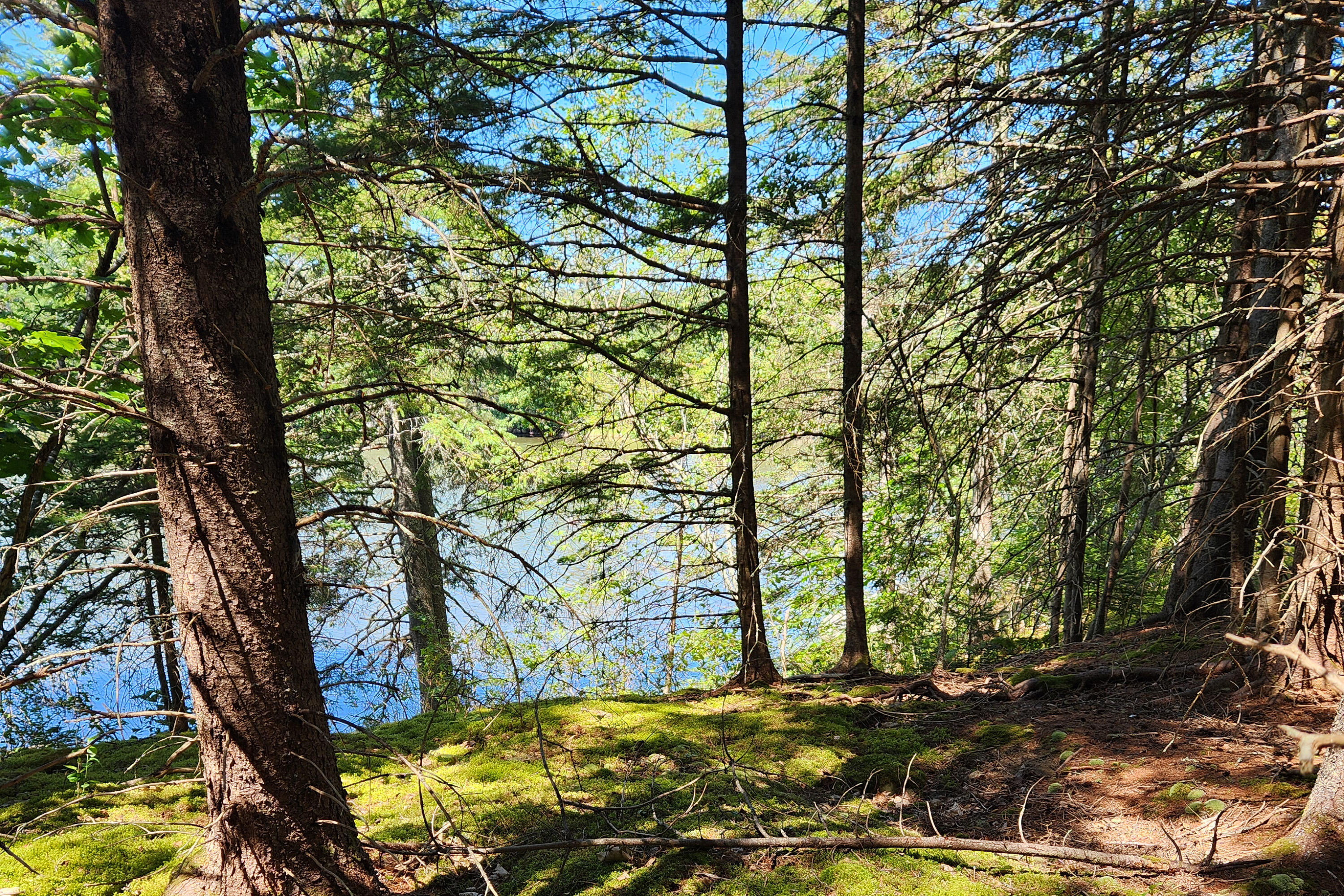 2 Camp Stream Point Lane Sedgwick ME 04676