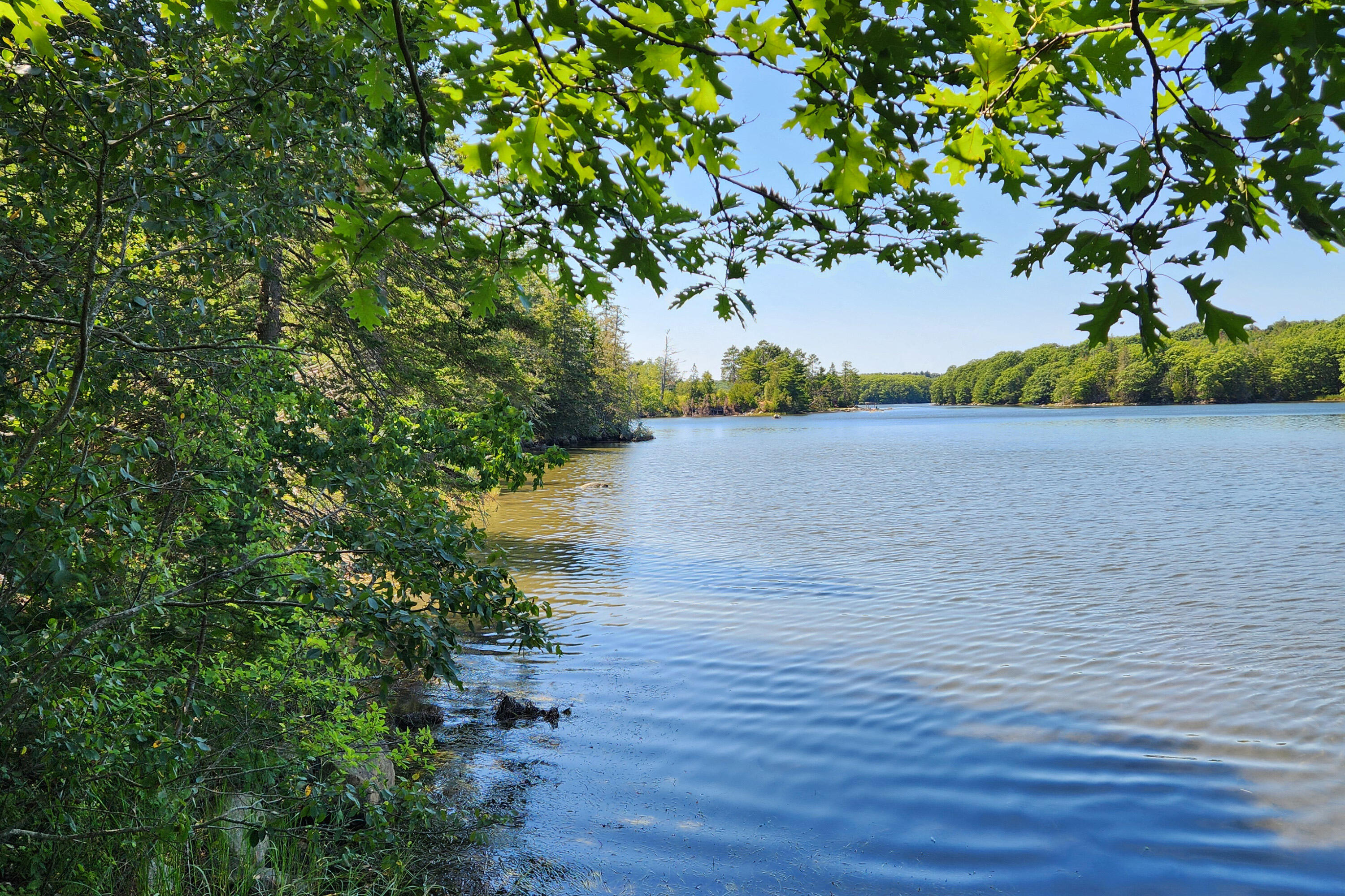 2 Camp Stream Point Lane Sedgwick ME 04676