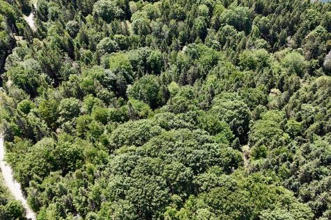 2 Camp Stream Point Lane Sedgwick ME 04676